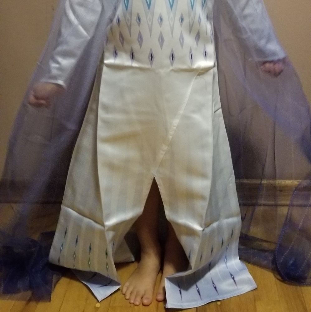 Halloween Outfit - Elsa